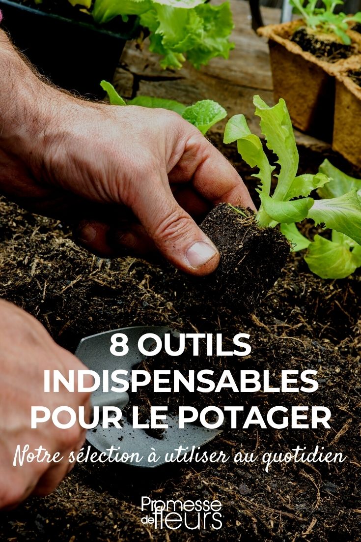 8 Essential Garden Tools