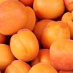 Apricot tree: best varieties