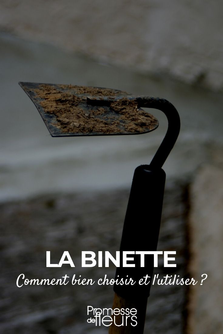 hoe: garden tool