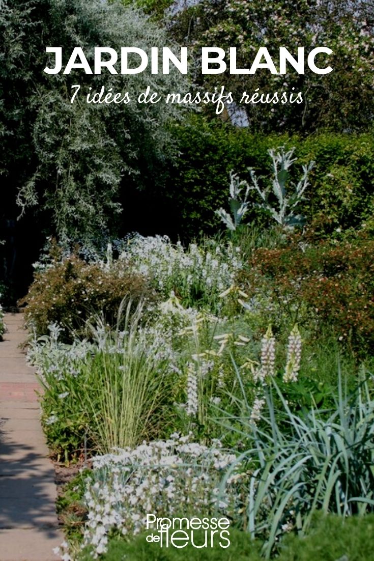white garden