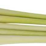Lemongrass: sowing, cultivation, harvest