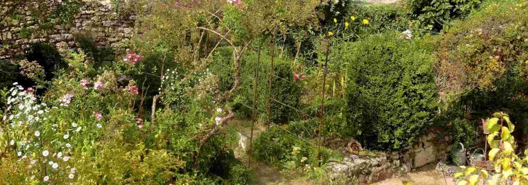 Designing a cottage garden: the main principles