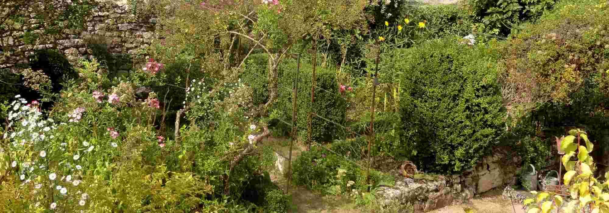 Designing a cottage garden: the main principles
