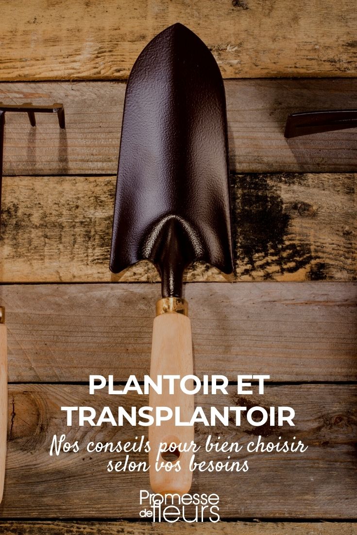 Choosing a Dibber and Transplanter