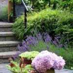 Designing a city garden