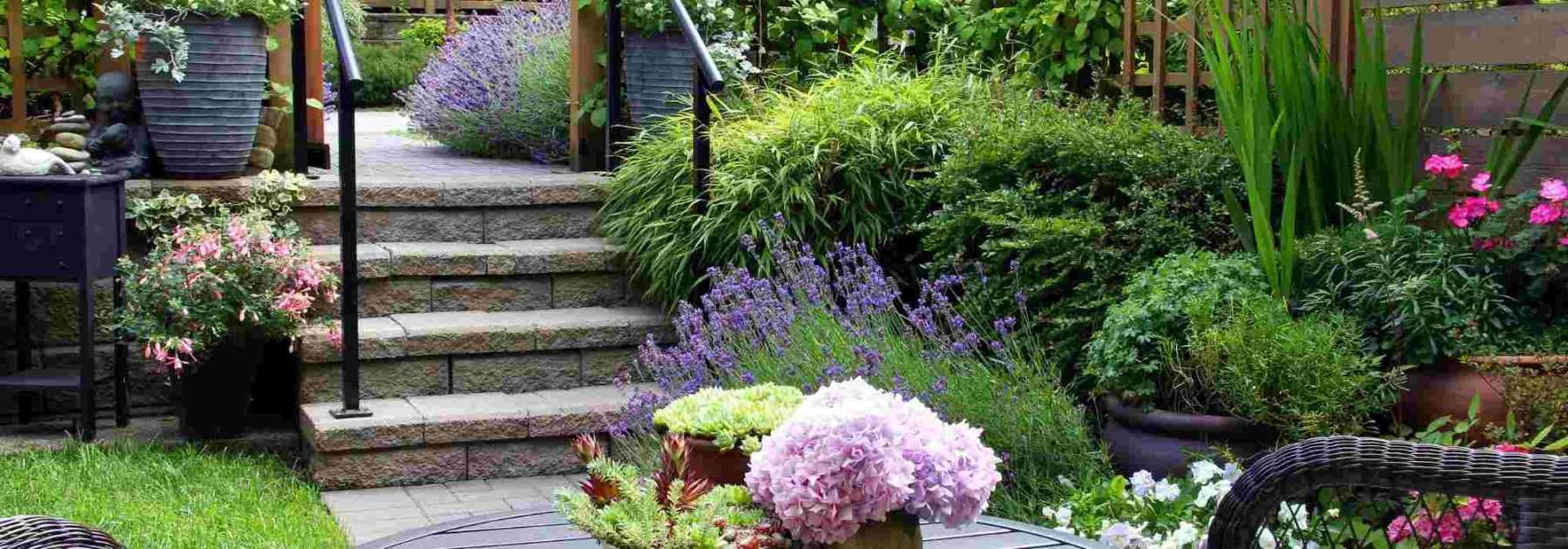 Designing a city garden