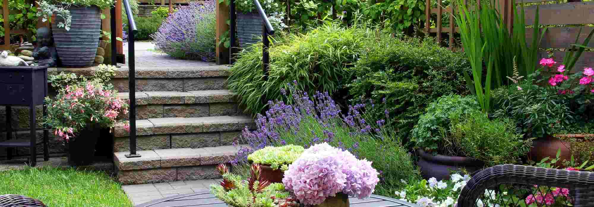 Designing a city garden
