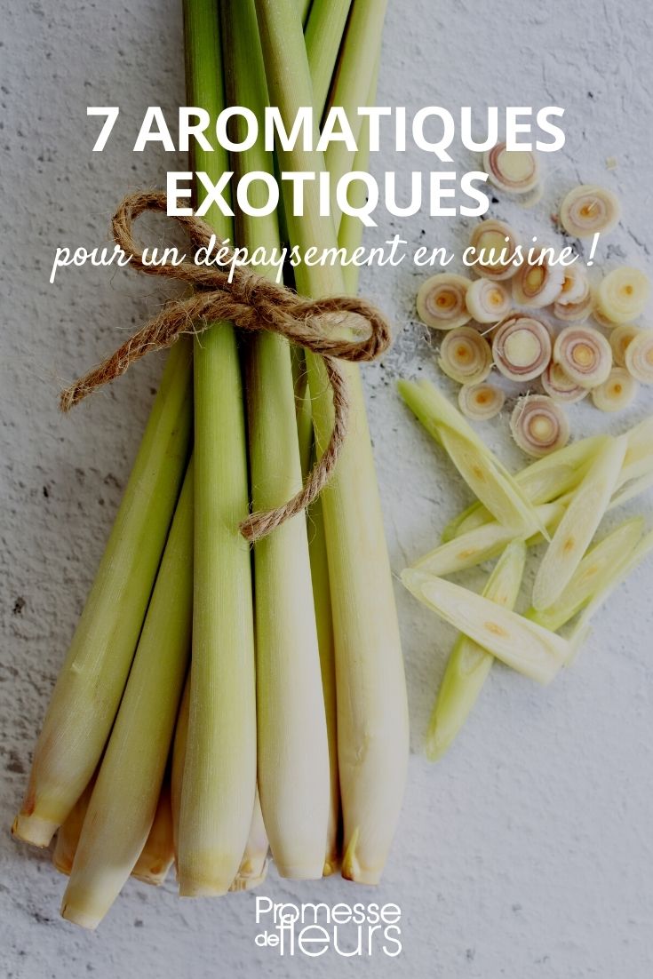 7 Exotic Herbs exotic herbs