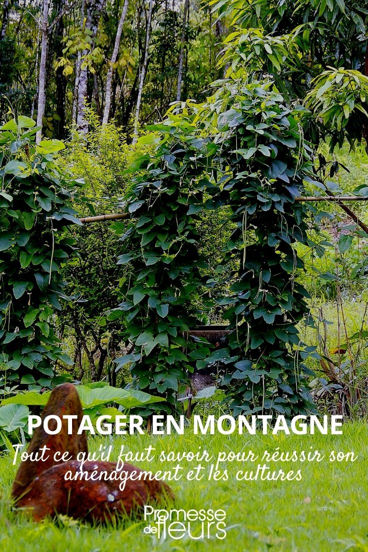 Permaculture Vegetable Garden in the Mountains Mountain Permaculture