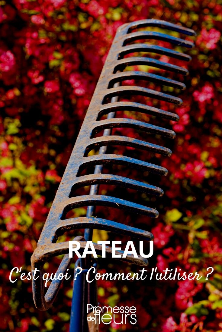 rake