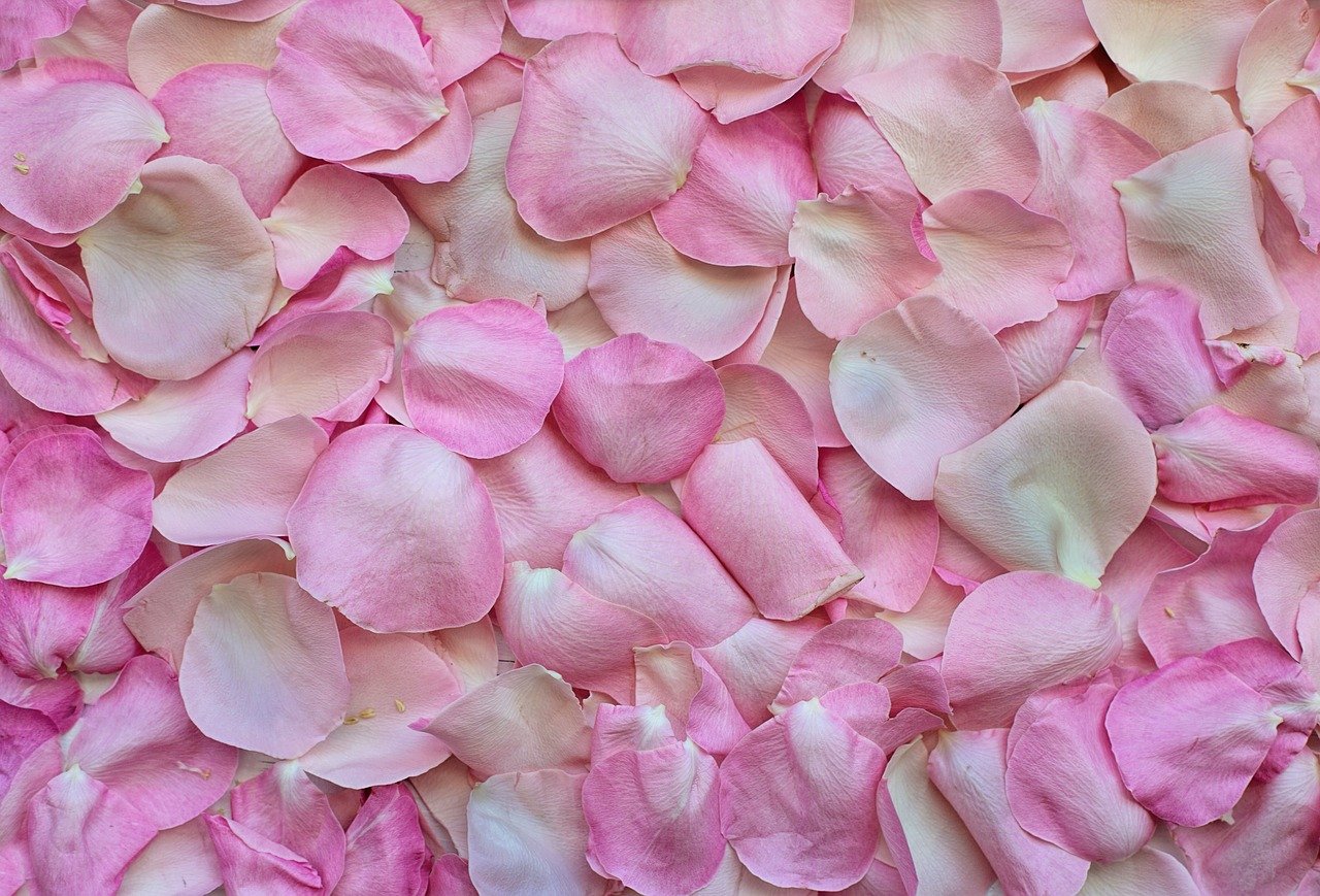 Cooking with roses