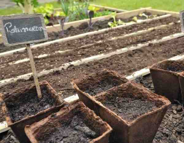 Sowing in buckets