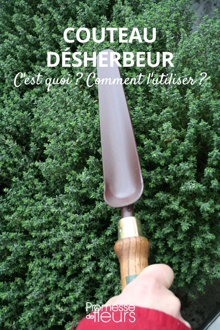 weeding knife
