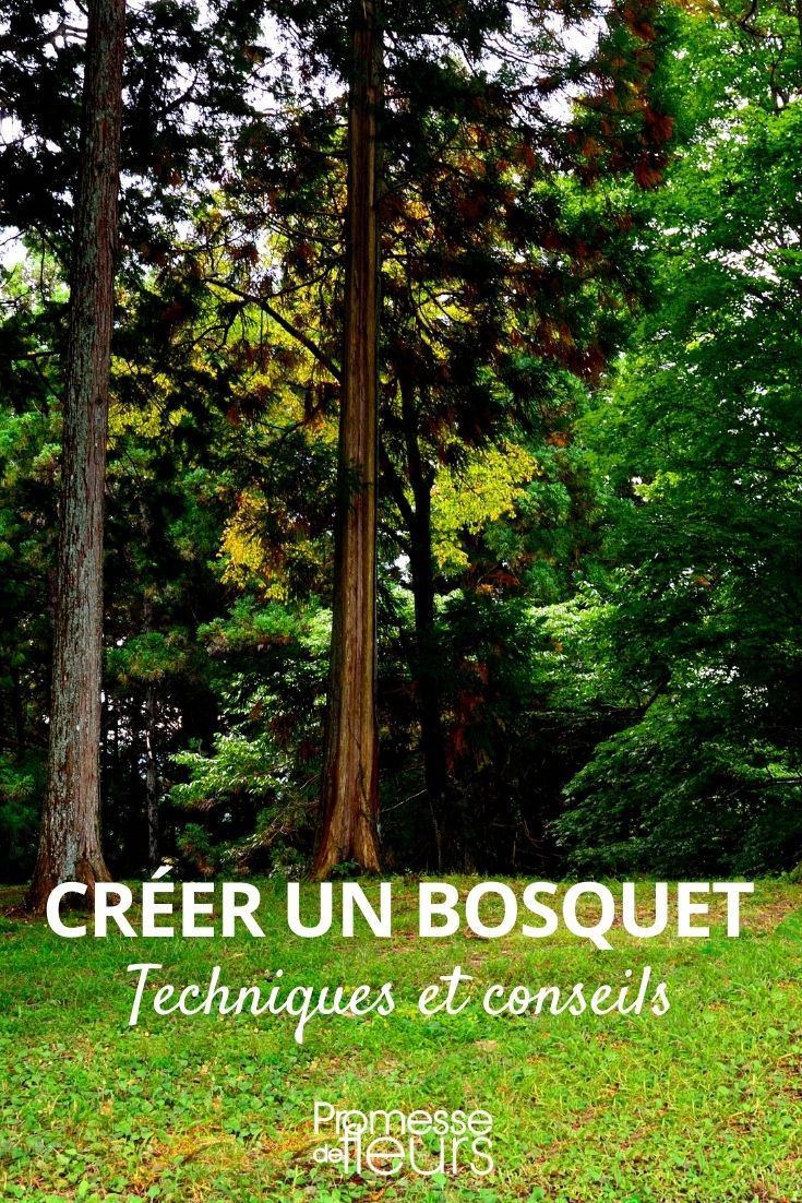 create a grove
