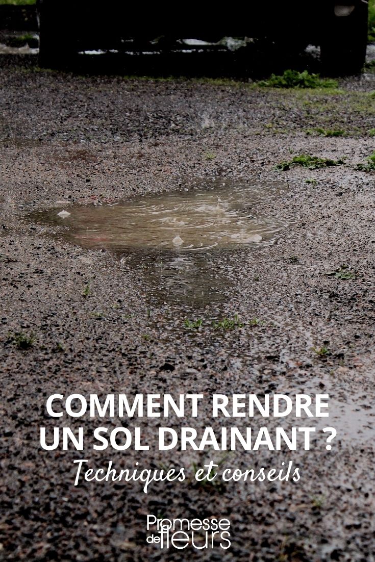 well-drained soil