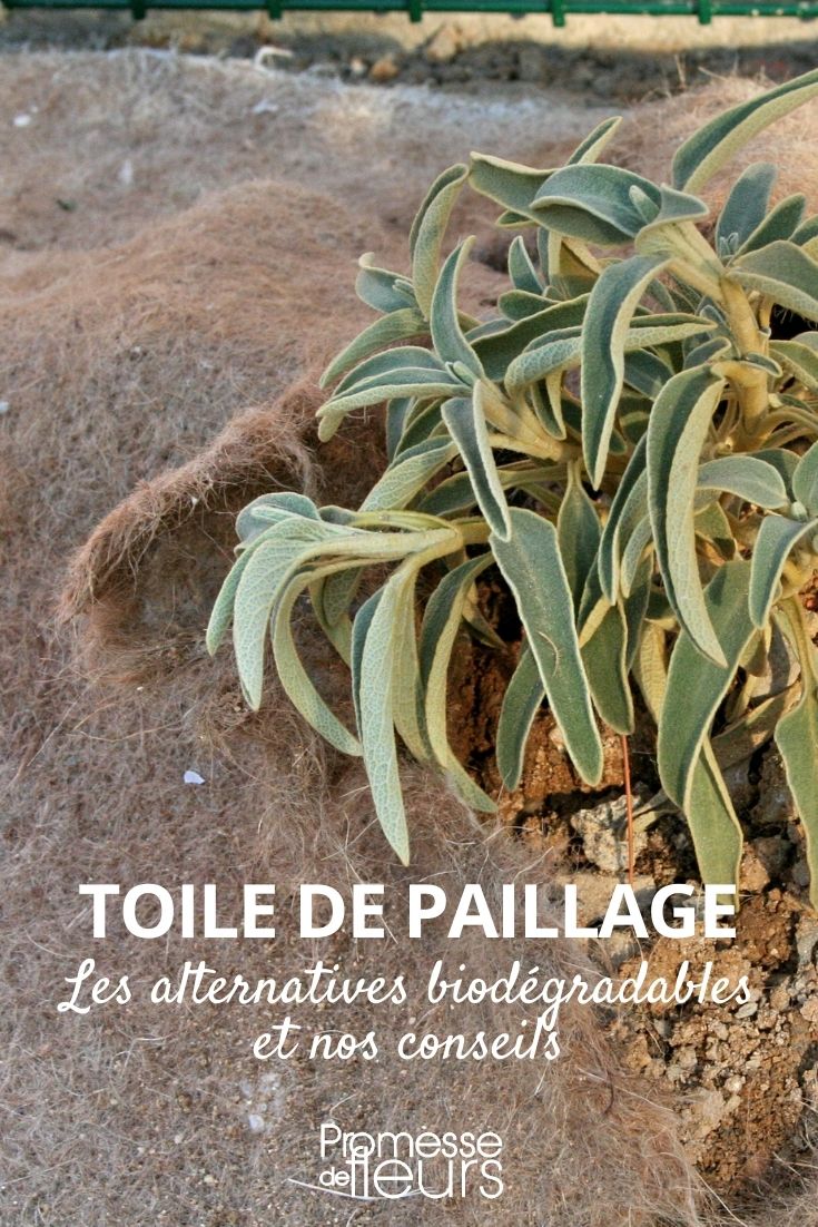 biodegradable mulching fabric