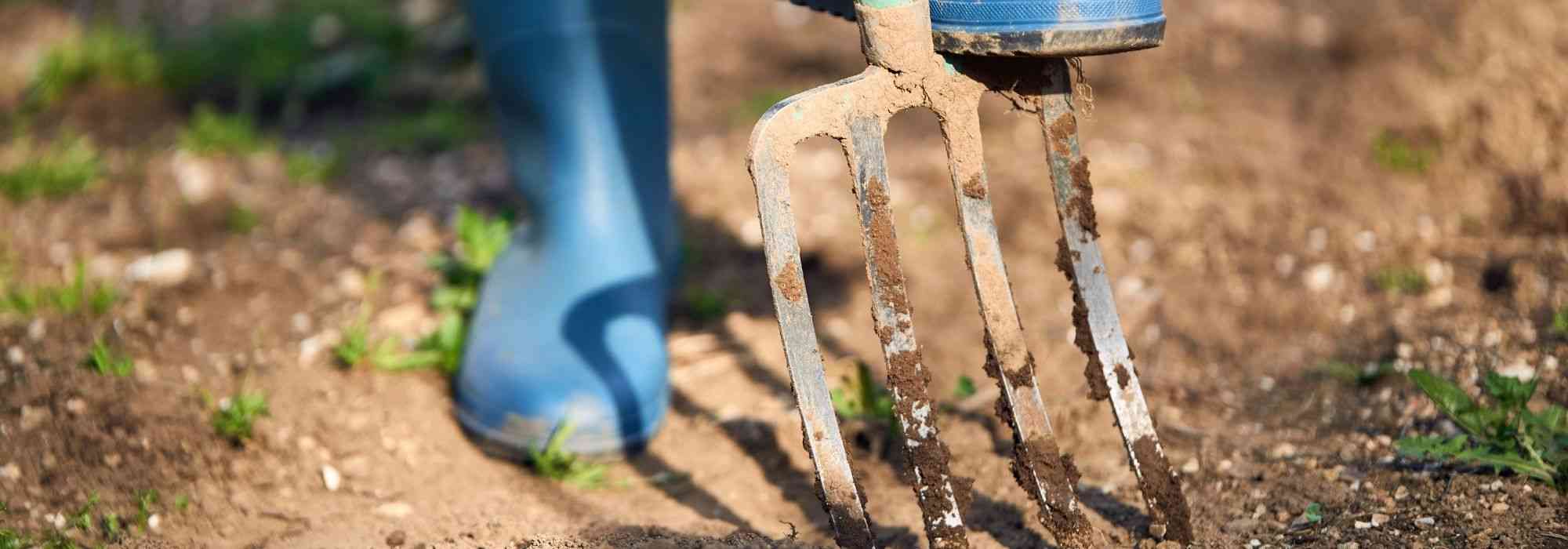 How to spade soil that is too hard?