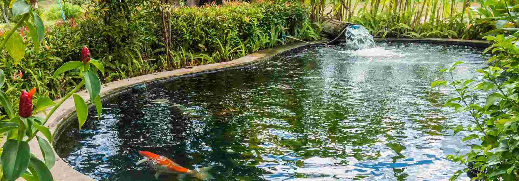 Installing a preformed pond