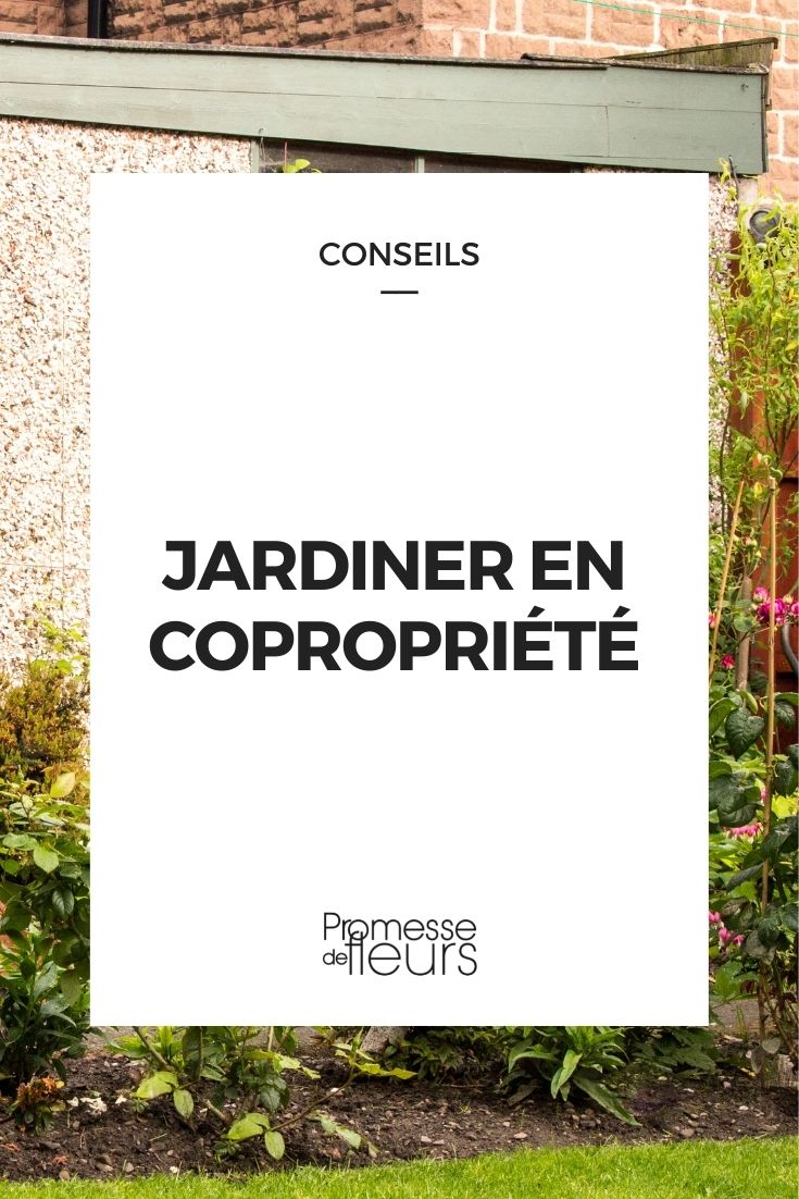 Gardening in a Condominium
