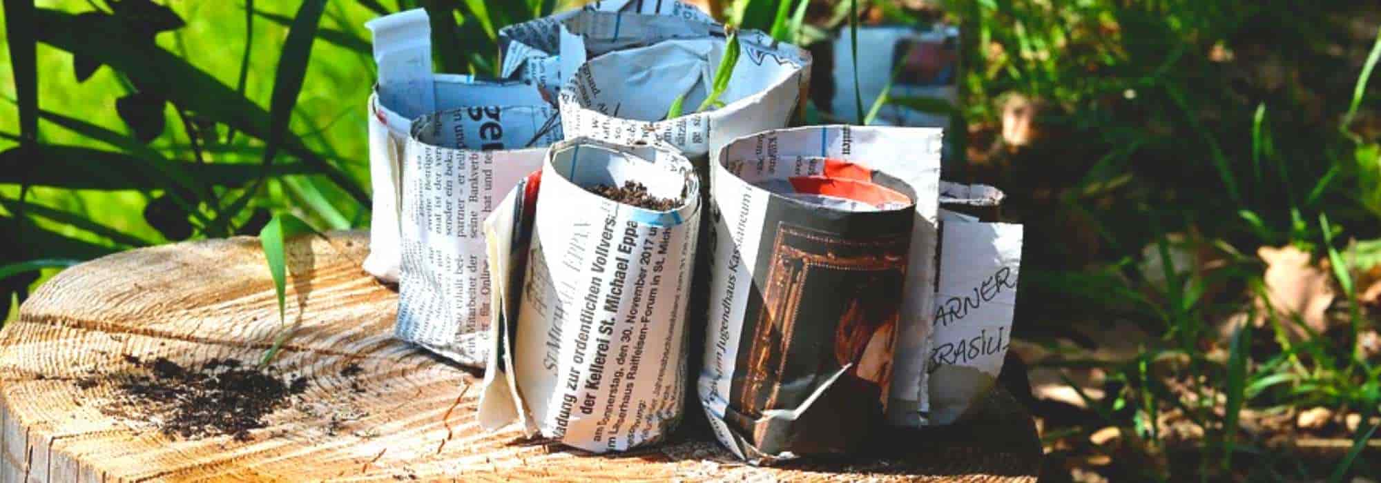 Paper Potter