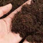 The role of humus in soil fertility