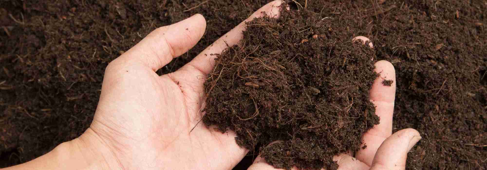 The role of humus in soil fertility