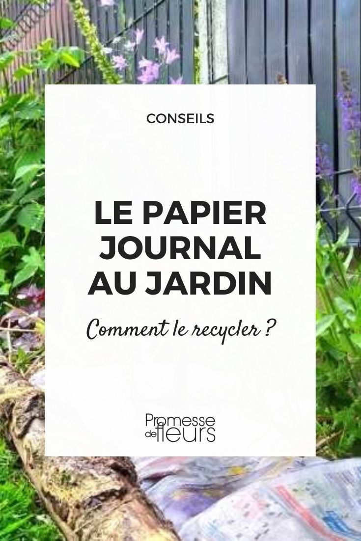 newspaper gardening