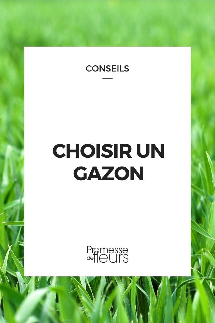 Choosing a Lawn