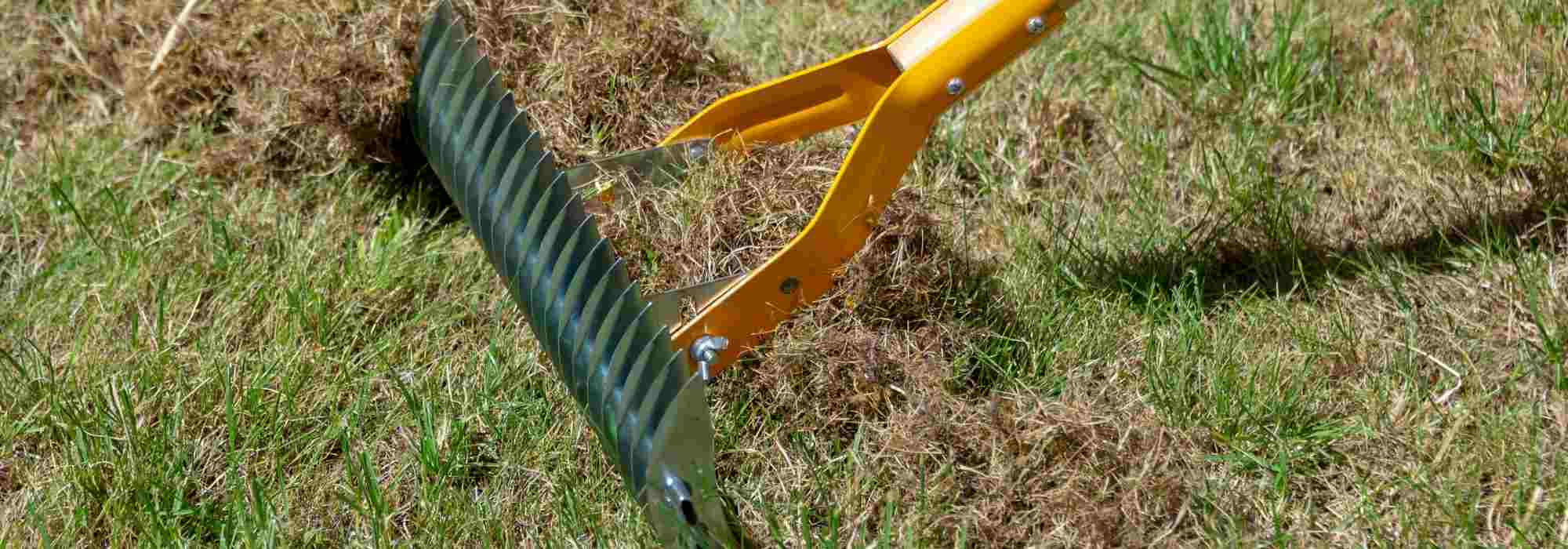 What is the purpose of a manual scarifier?