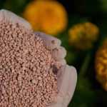 NPK: Definition and Uses