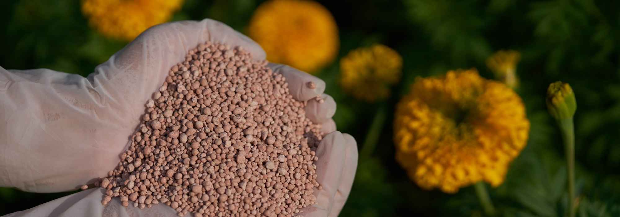 NPK: Definition and Uses