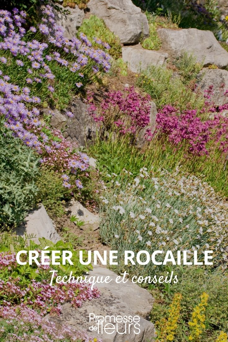 Creating a Rock Garden