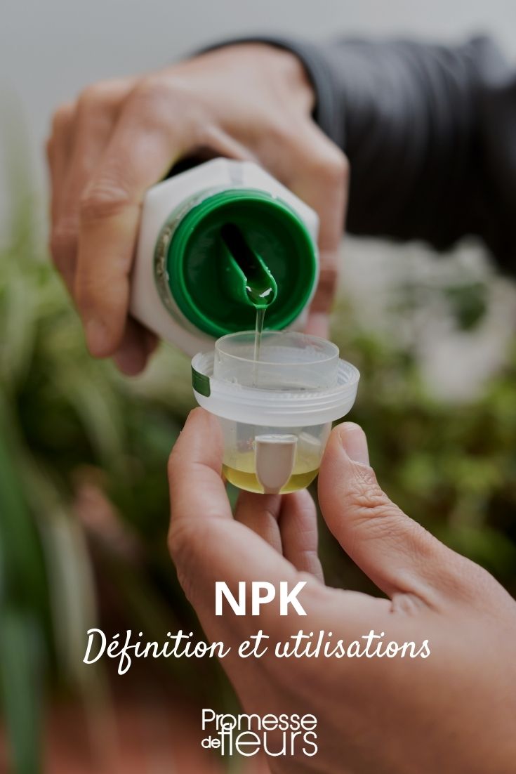 NPK NPK Fertiliser