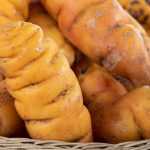 Peruvian Oca: Cultivation, Planting, Harvest