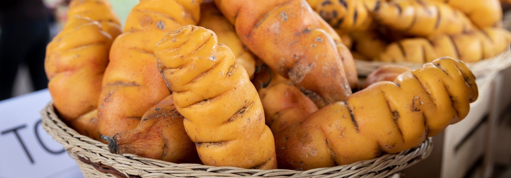 Peruvian Oca: Cultivation, Planting, Harvest