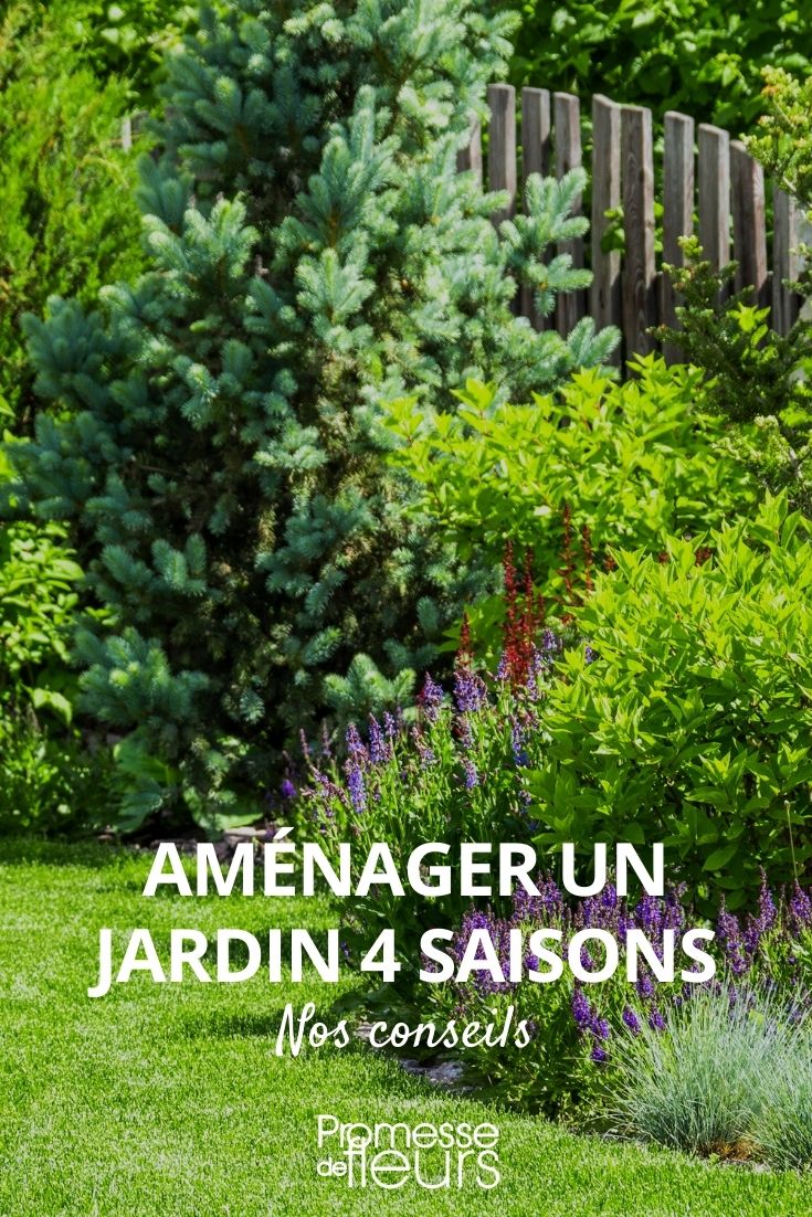 Designing a Four-Season Garden Four Seasons Garden: How to Design It, a Garden with Flowers All Year Round, a Beautiful Garden Throughout the Year