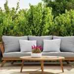 Break the wind on a terrace: The plants you need!