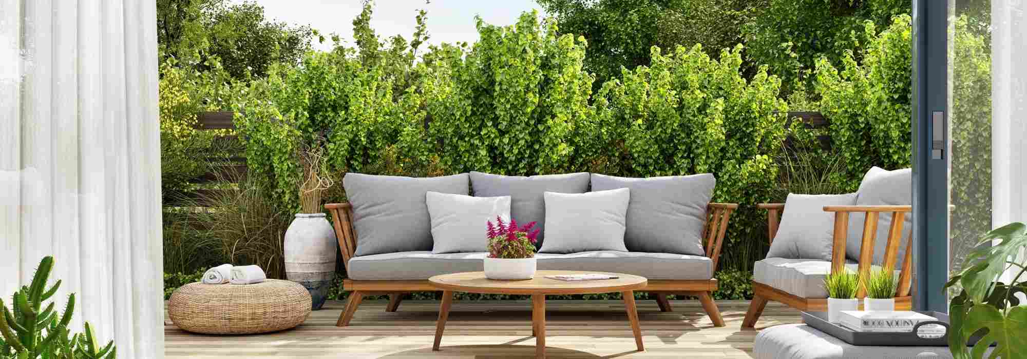 Break the wind on a terrace: The plants you need!