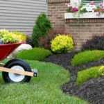 What is the purpose of a root barrier?