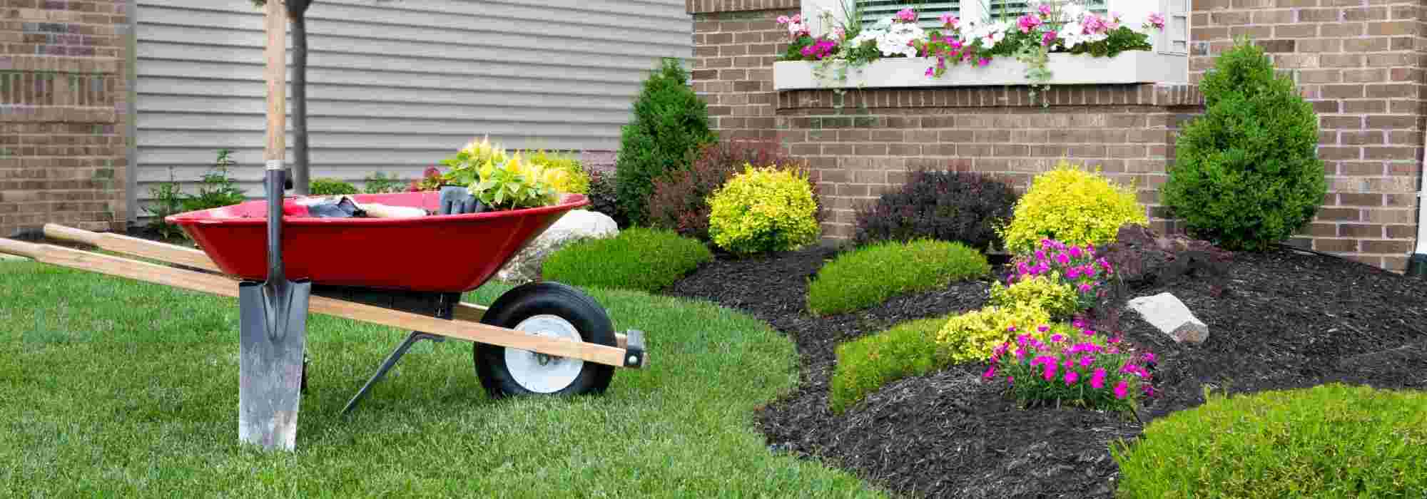 What is the purpose of a root barrier?