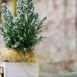 A beautiful terrace in winter