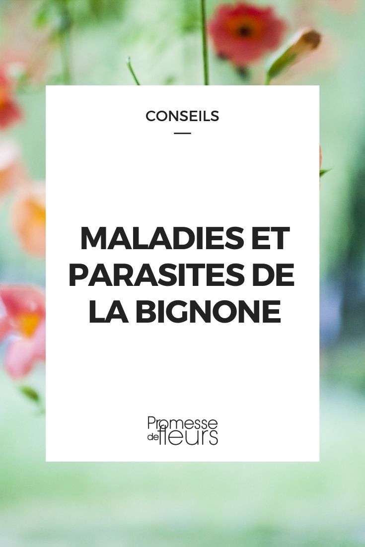 Parasitic Disease in Bignone