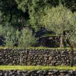 Designing a terraced garden