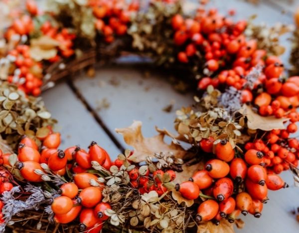 Making a Christmas wreath with rose hips