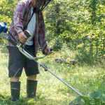 Which tools to use for clearing brush?