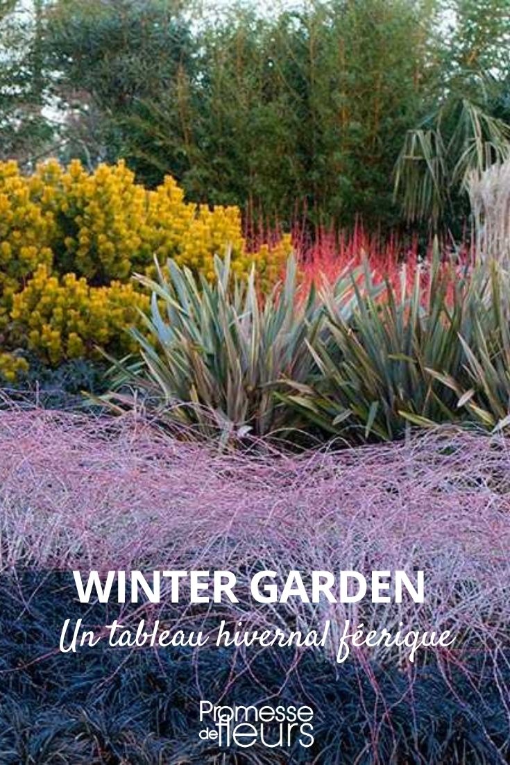 winter garden