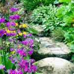 Perennial plants: how to choose?