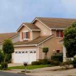 7 shrubs for a housing estate garden