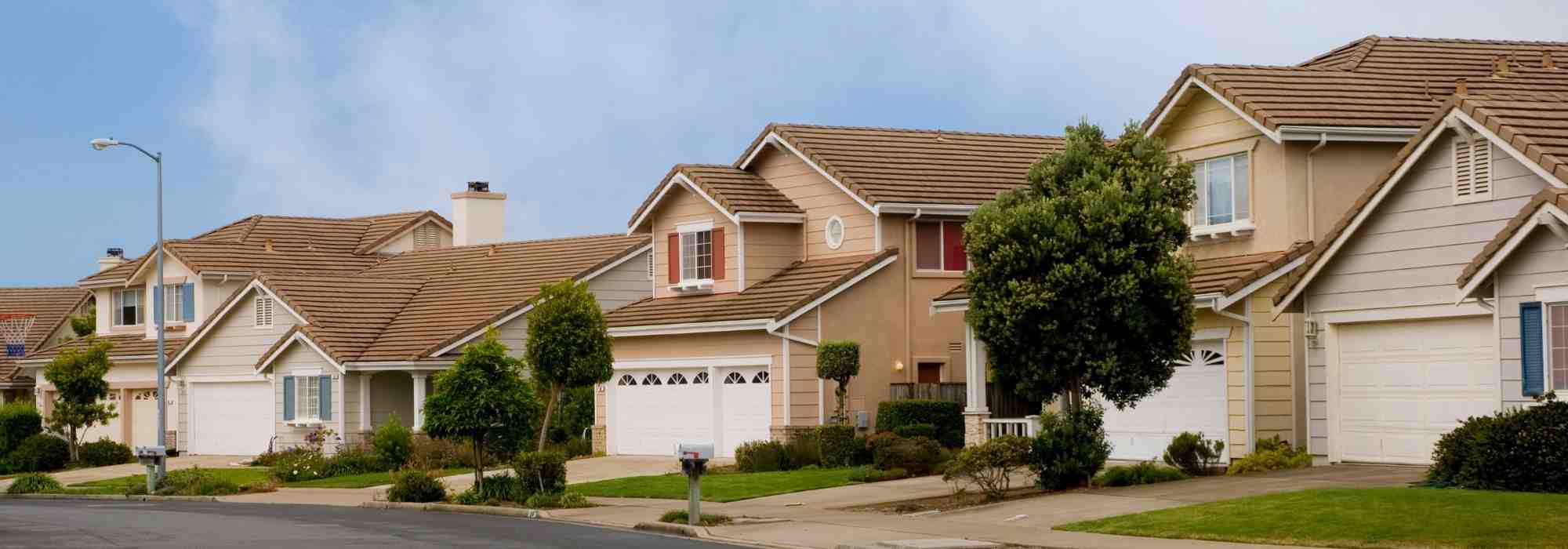 7 shrubs for a housing estate garden