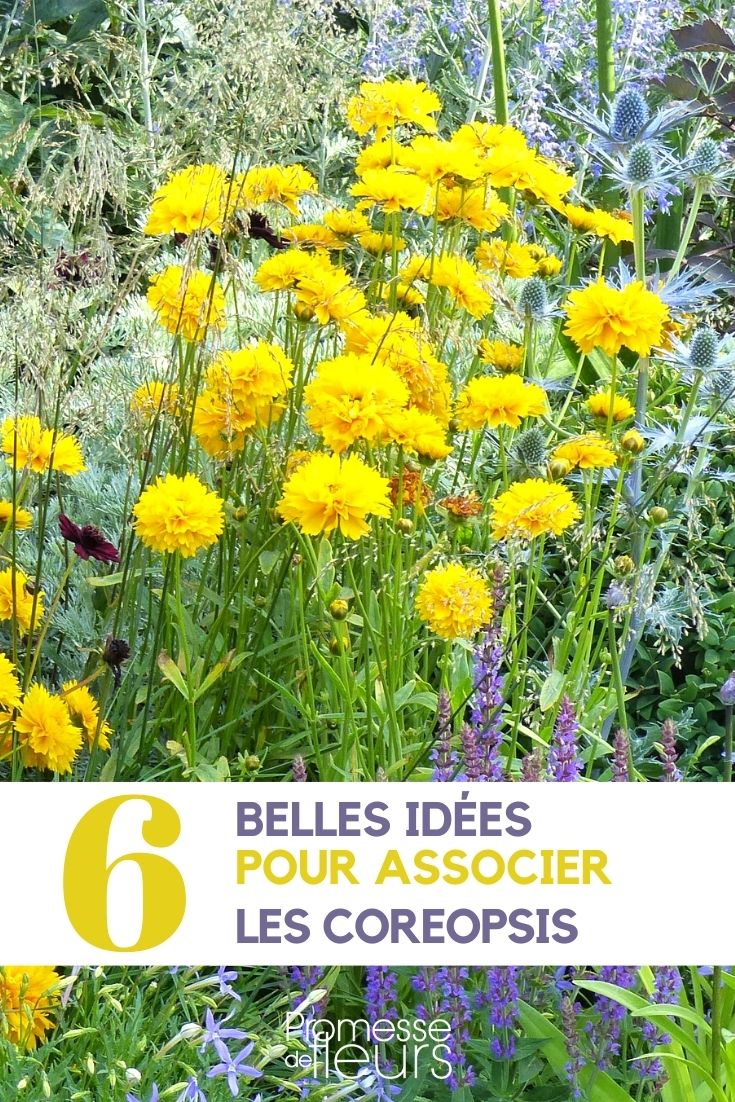 Je suis désolé, mais il semble que vous n'ayez pas fourni de texte à traduire. Pourriez-vous fournir plus de détails ou un texte spécifique que vous souhaitez traduire ? Merci.